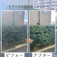 画像305