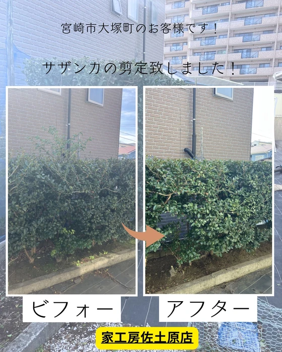 画像305