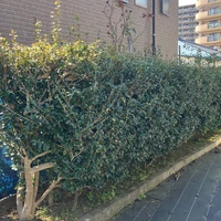 画像306