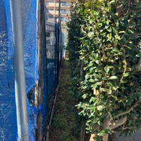 画像307