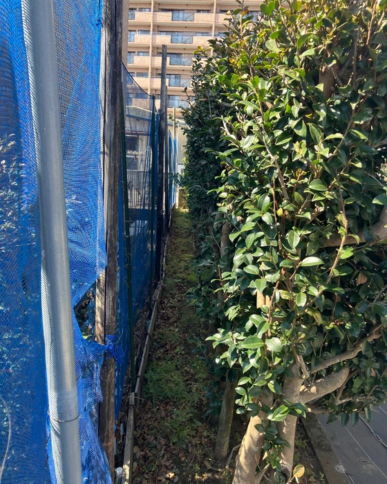 画像307