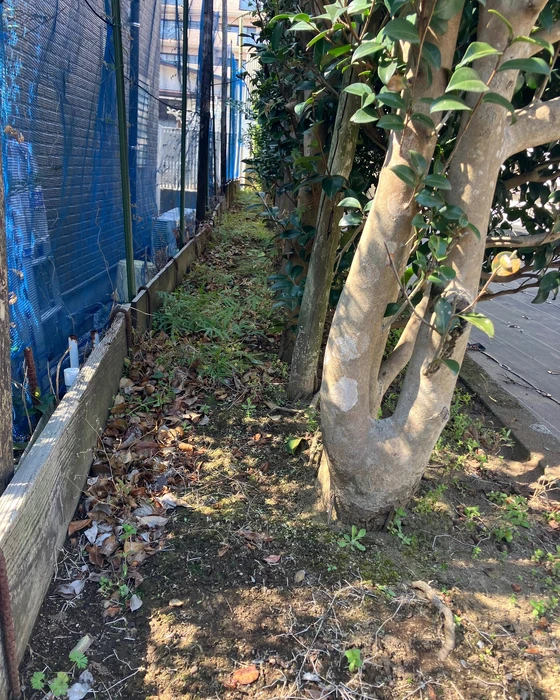 画像308