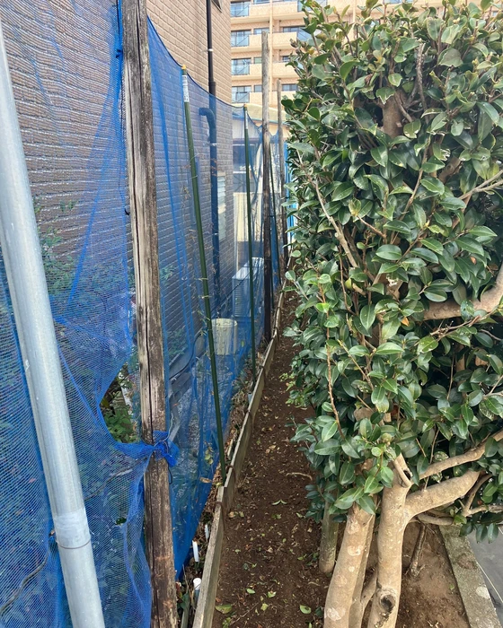 画像310