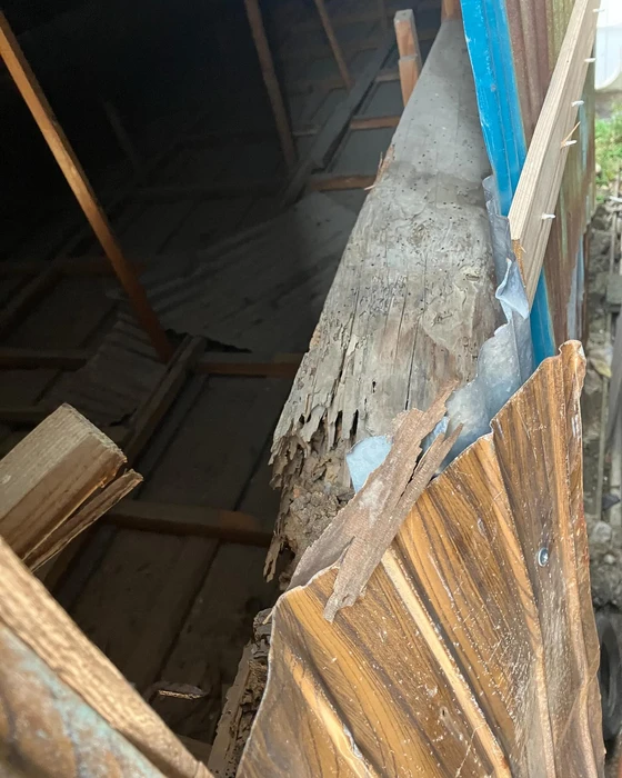 画像341