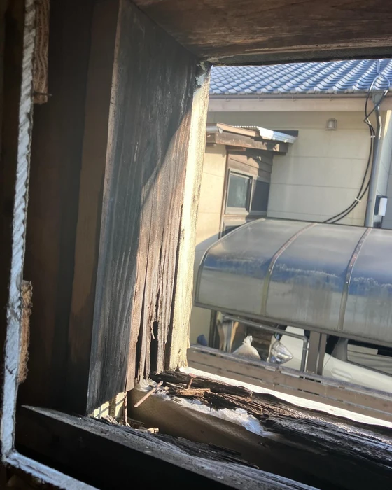画像351