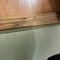 画像383