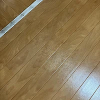 画像384
