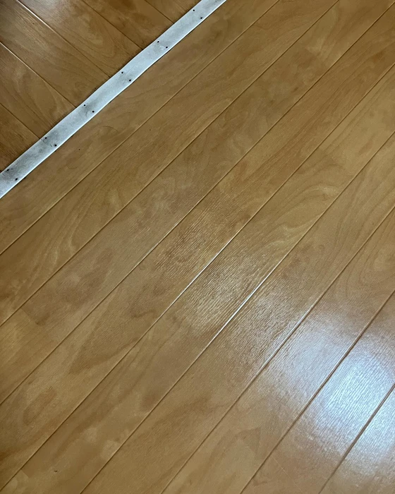 画像384