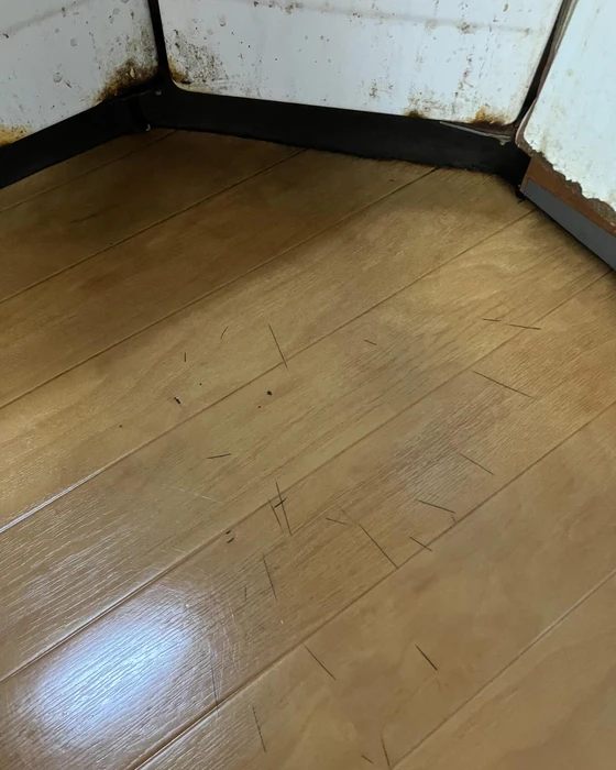 画像386