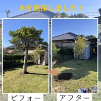 画像405