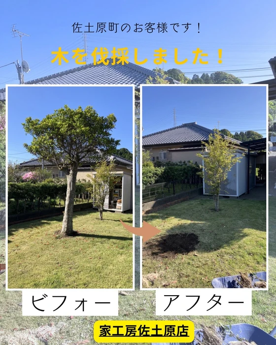 画像405