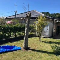 画像411