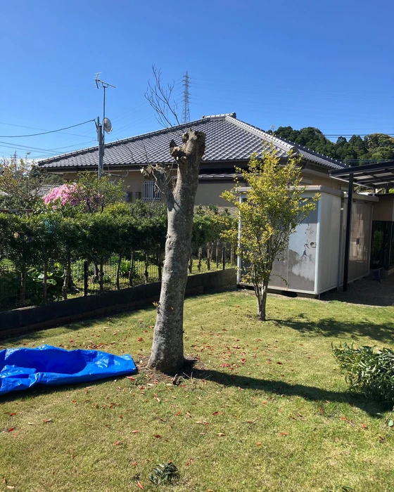 画像411