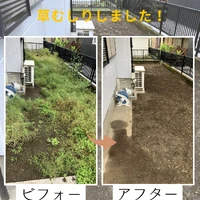 画像424
