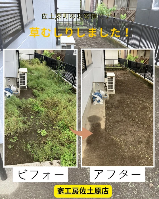画像424
