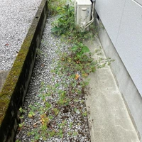 画像429