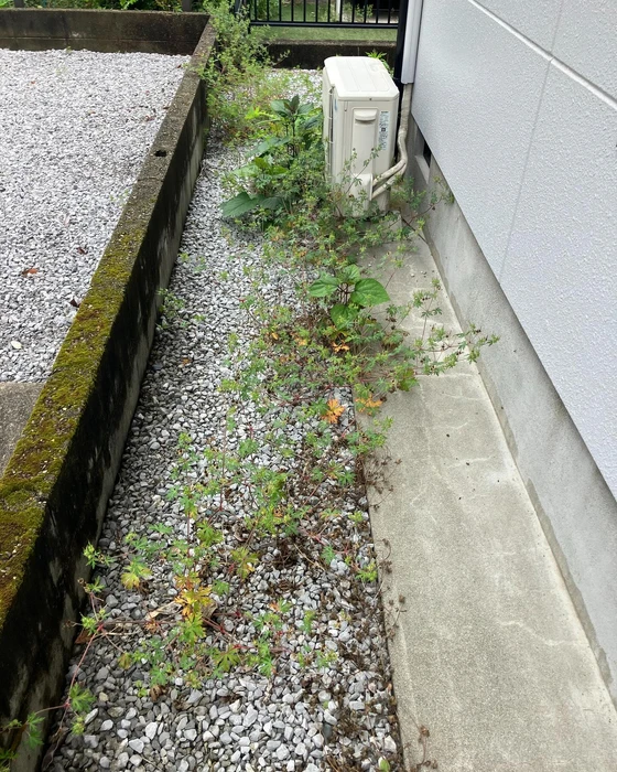 画像429