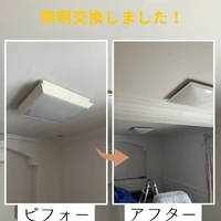 画像442