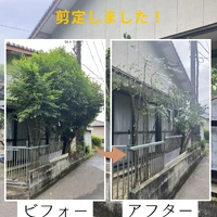 画像448