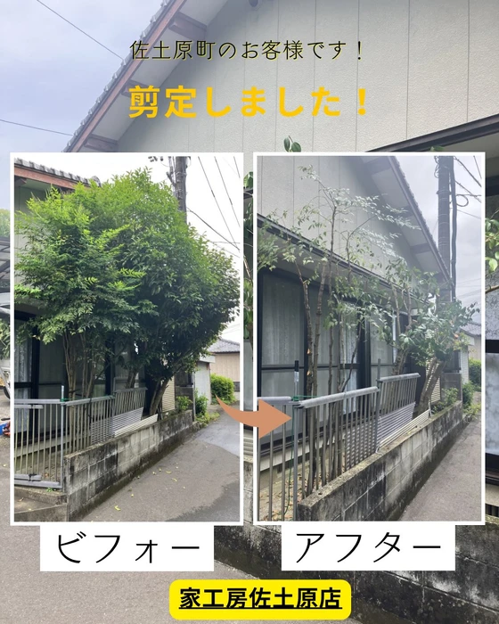 画像448