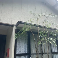 画像450