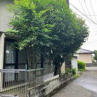 画像451