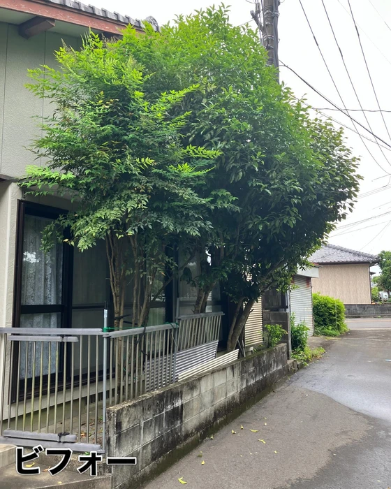 画像451