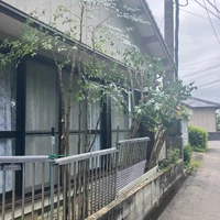 画像452