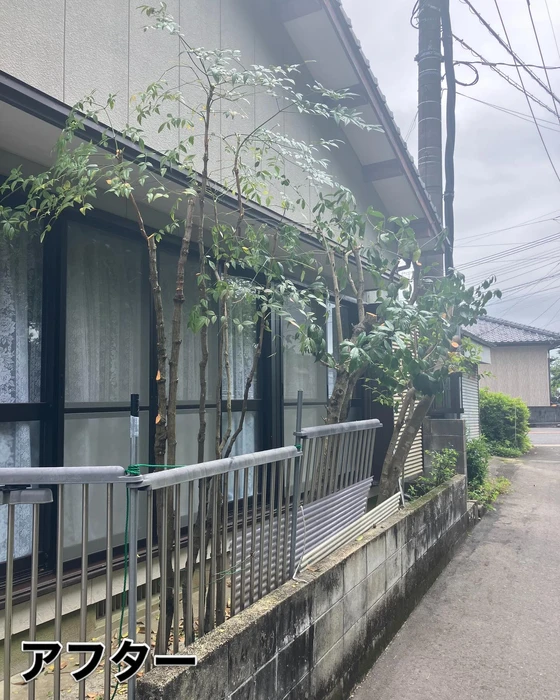 画像452