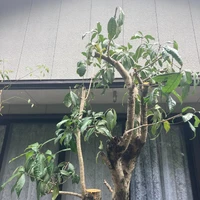 画像454