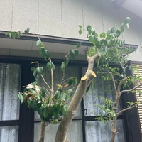 画像456