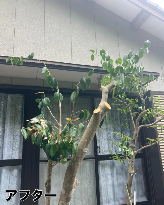 画像456