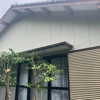 画像458
