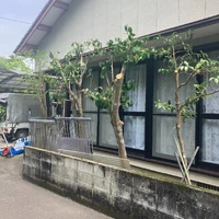 画像459