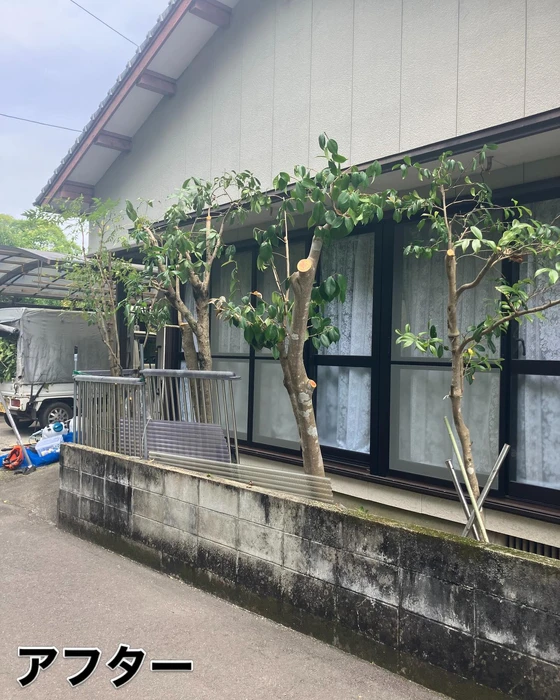 画像459