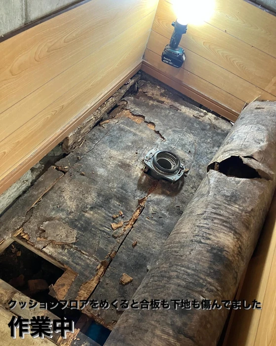 画像464
