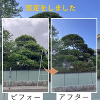 画像471