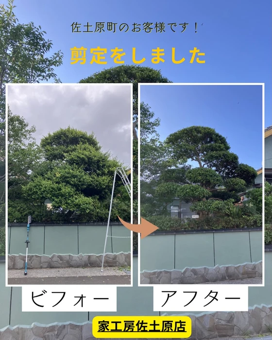画像471