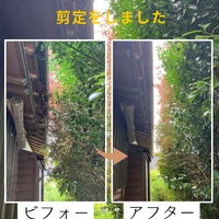 画像473