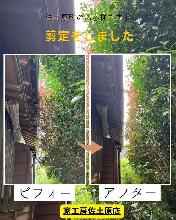 画像473