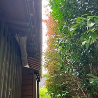 画像475