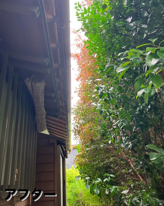 画像475
