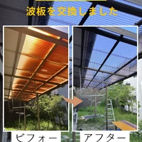 画像477