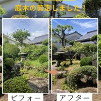 画像482