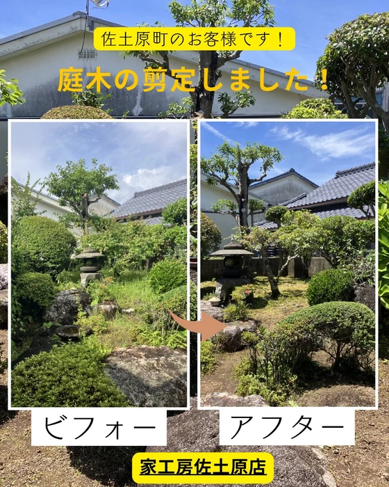 画像482