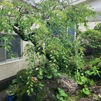 画像484