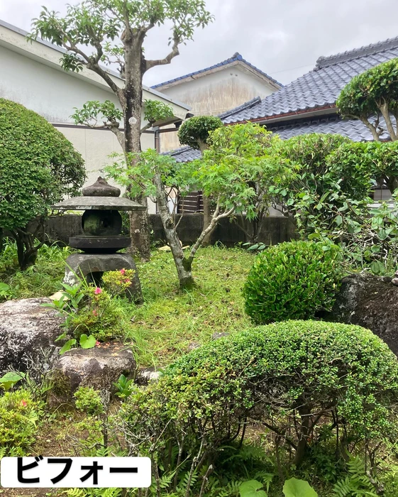 画像485