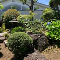画像486