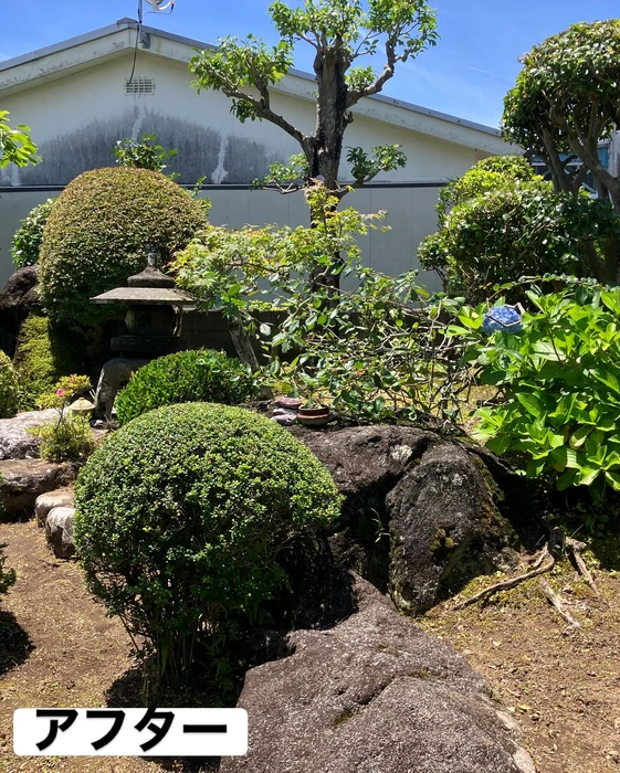 画像486
