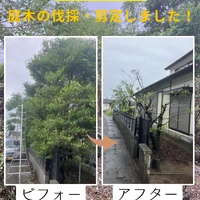 画像488